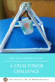 The Challenge is On: A STEM Tower Challenge