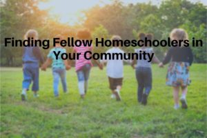 Read more about the article Finding Fellow Homeschoolers Where You Live