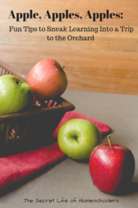 Tips to make a trip to the apple orchard educational.