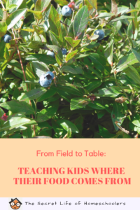 Teaching kids where their food comes from