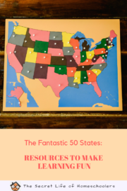 The Fantastic 50 States: Resources To Make Learning Fun