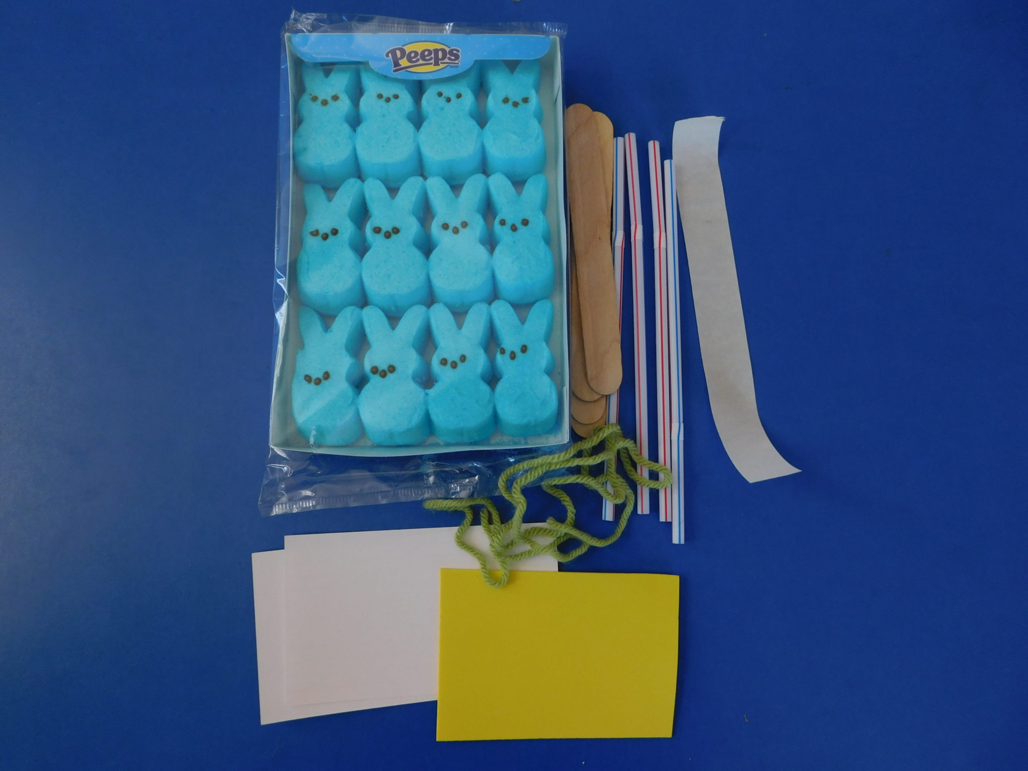 You are currently viewing Build the Best Easter Bunny Boat: A STEM Challenge