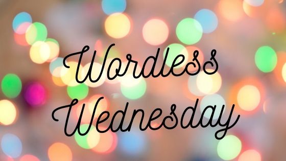 You are currently viewing Wordless Wednesday