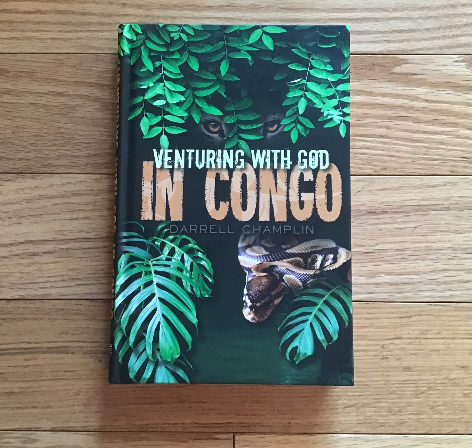 You are currently viewing Venturing With God In Congo- A Missionary’s Story