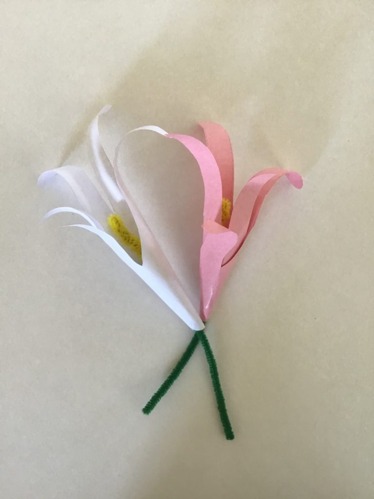 DIY paper flowers