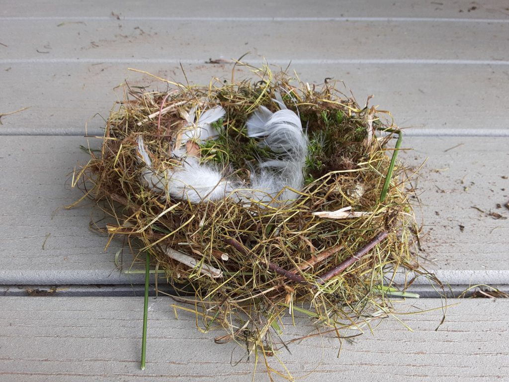STEM bird nest, outdoor learning