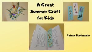 Read more about the article A Great Summer Craft for Kids