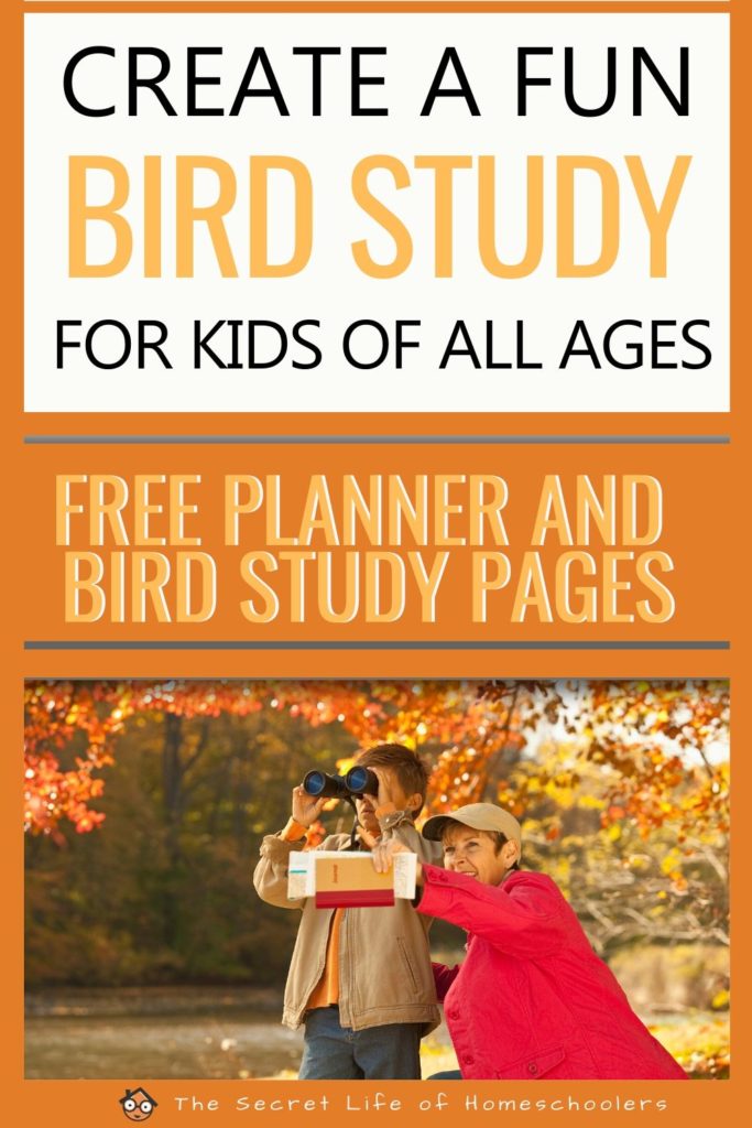 studying birds