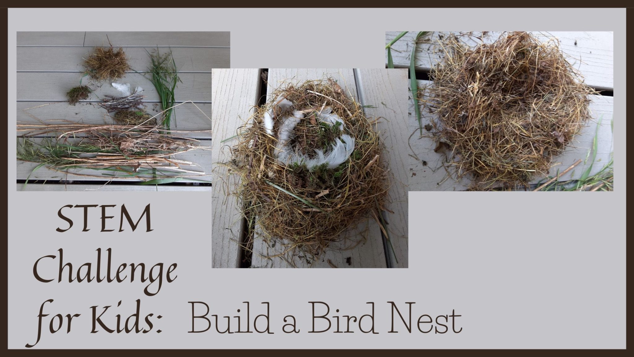 STEM Challenge for Kids: Build a Bird Nest - The Secret Life of  Homeschoolers