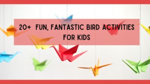 Read more about the article 20+ Fantastic Bird Activities for Kids