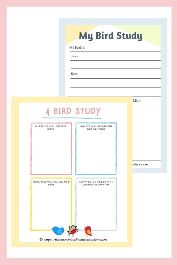 bird activities, bird unit study