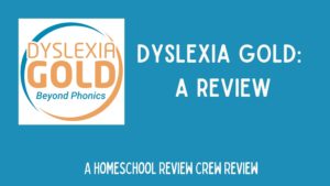 Read more about the article Dyslexia Gold: See How This May Help Your Struggling Reader