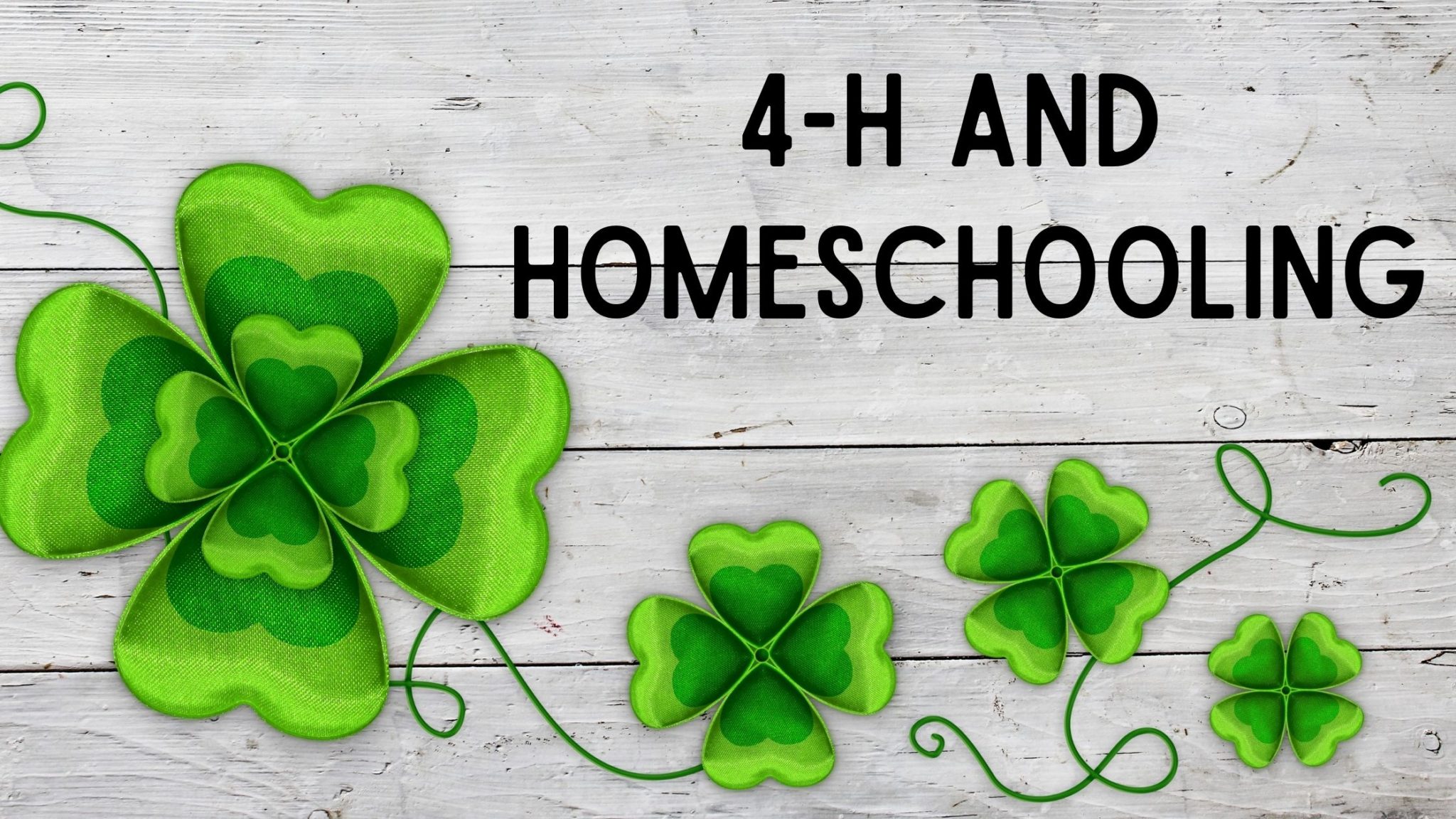 You are currently viewing 4-H and Homeschooling: See Why It Fits Into Homeschooling