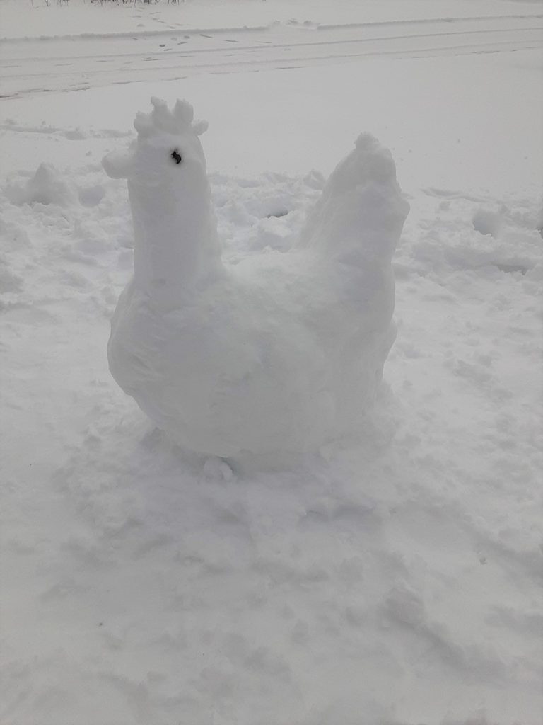 snow activity-snow chicken sculpture
