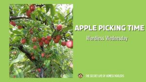 Read more about the article Apple Picking Time {Wordless Wednesday}