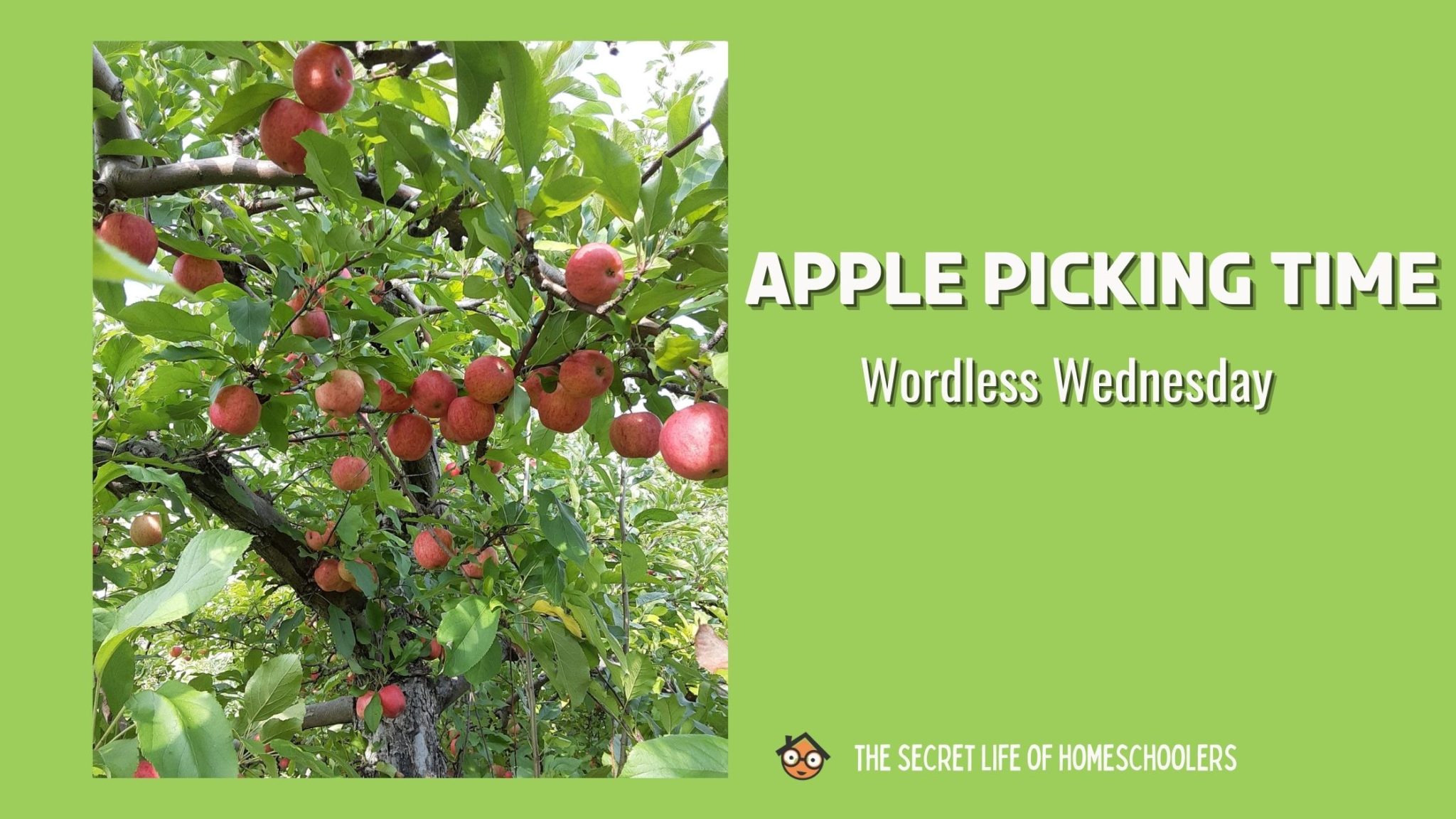 You are currently viewing Apple Picking Time {Wordless Wednesday}
