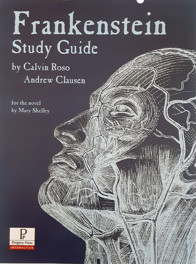 cover of Frankenstein Literature Study Guide