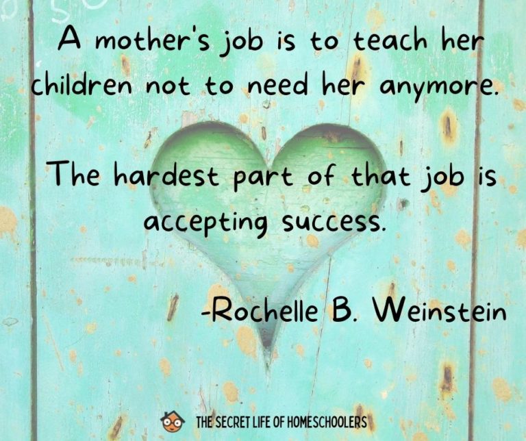 A Mother's Success: A Quote For Moms To Show You're Not Alone - The 