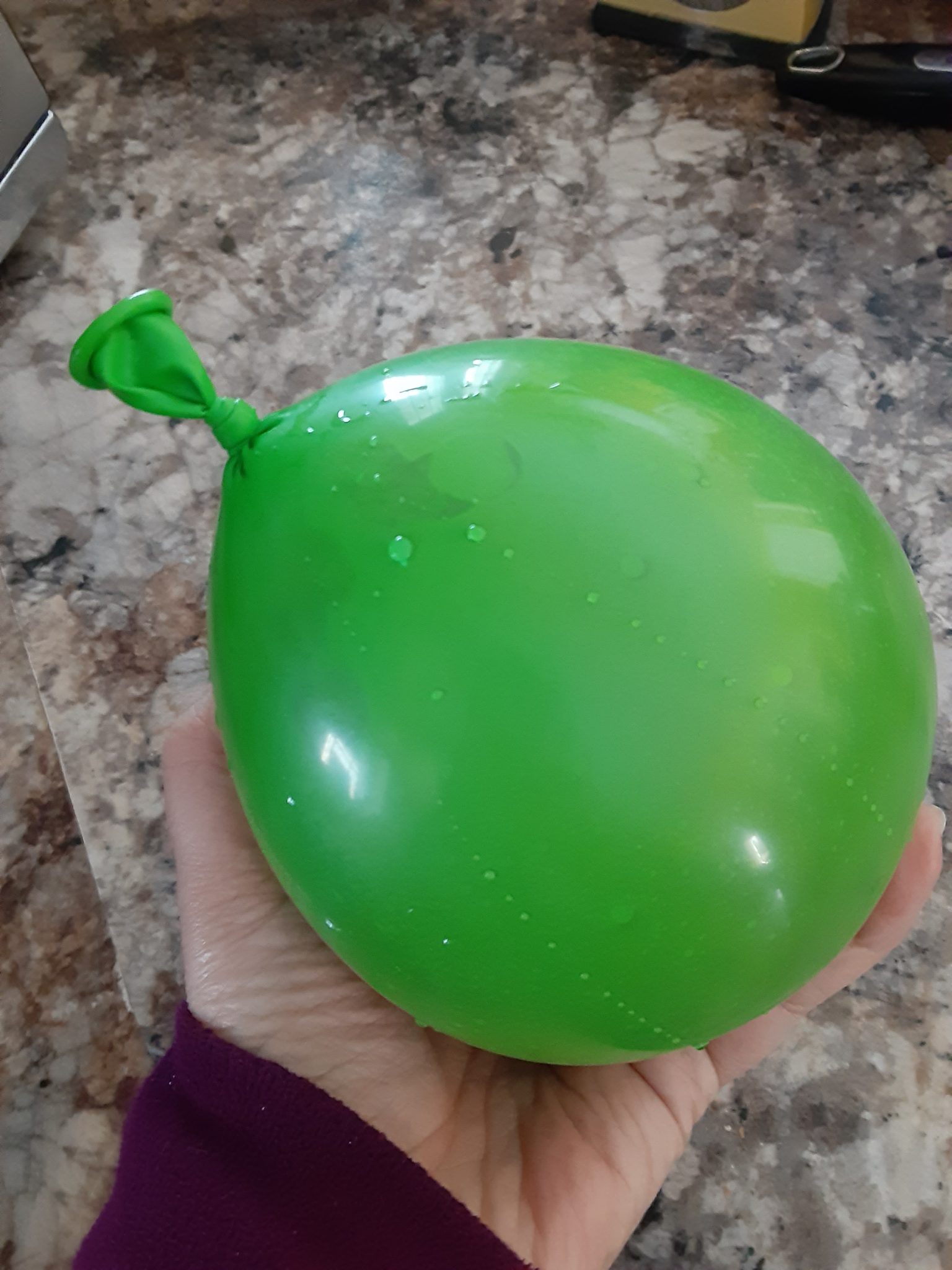 Water balloon filled and tied off.