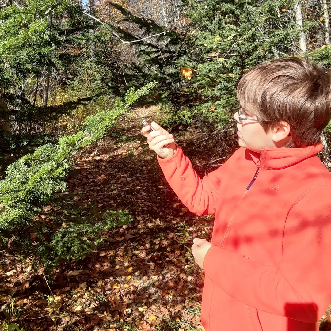 exploring nature with this complete homeschool curriculum