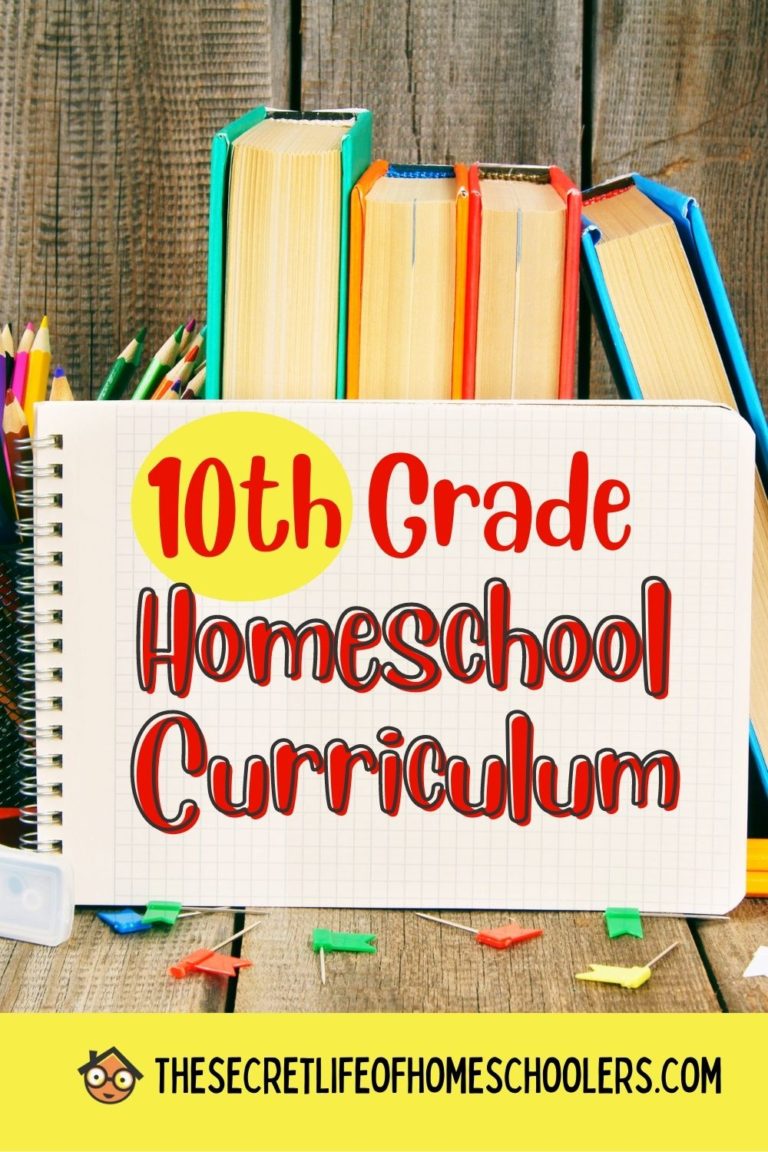 Our 10th Grade Homeschool Curriculum Picks for 2022-2023 School Year ...