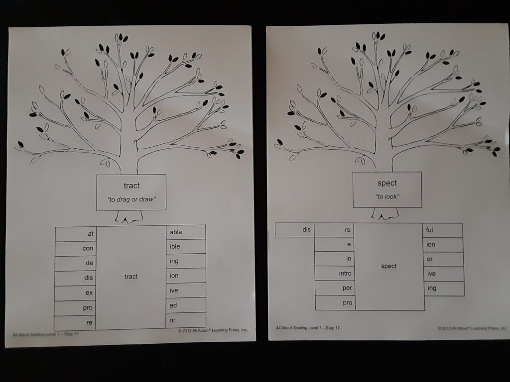 Latin root worksheets for spelling program
