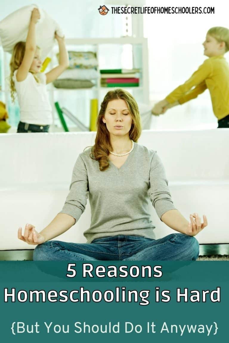 5 Reasons Homeschooling is Hard {But You Should Do It Anyway} - The ...