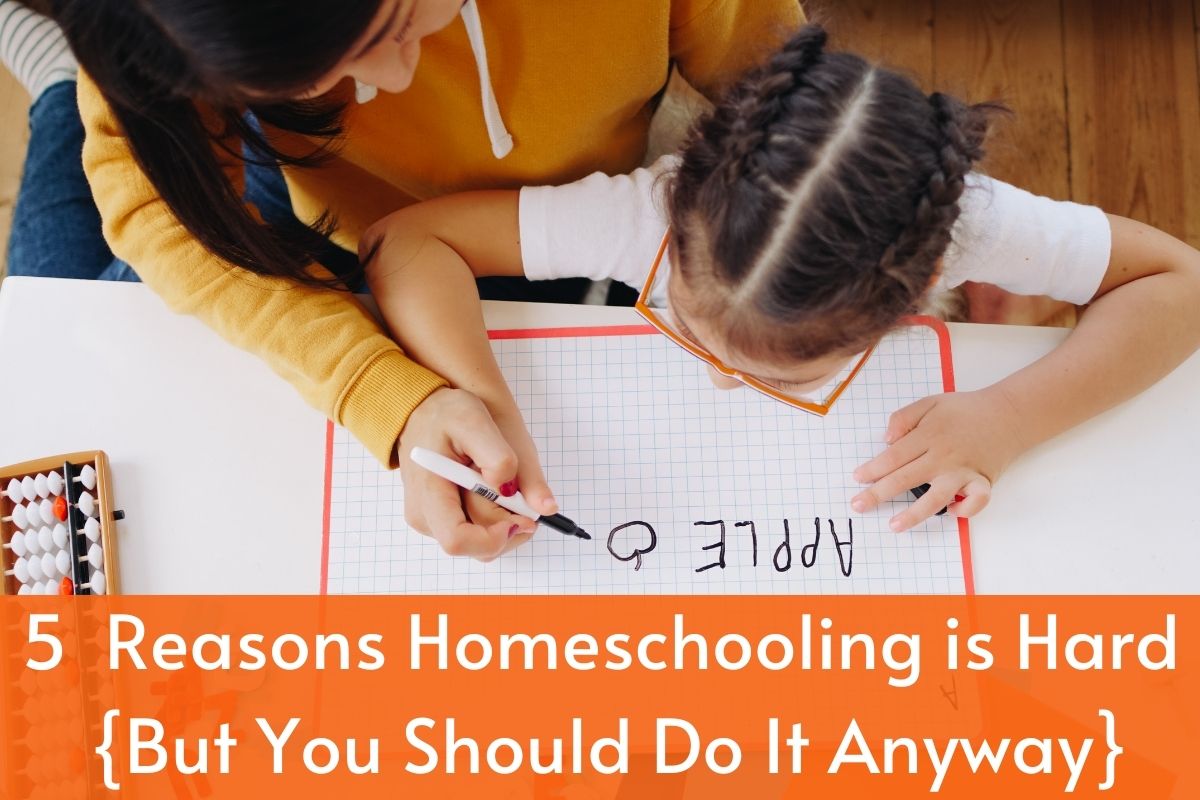 Read more about the article 5 Reasons Homeschooling is Hard {But You Should Do It Anyway}