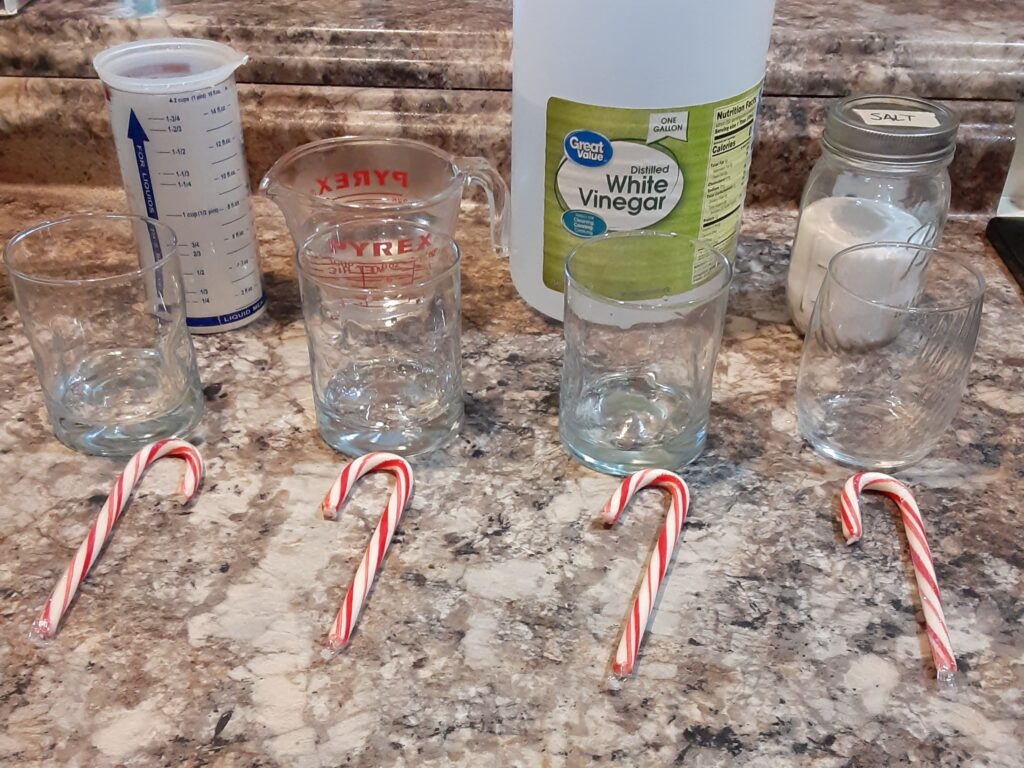Candy cane experiment liquids