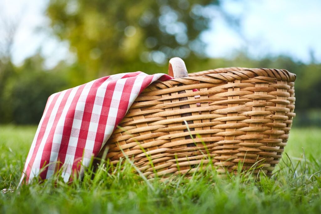 picnic on Independence Day with teens