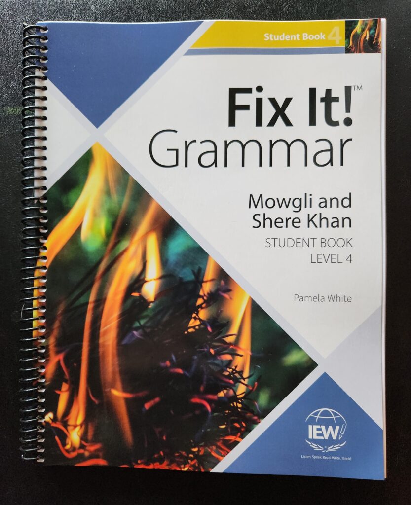 Fix It! Grammar curriculum for 9th grade 