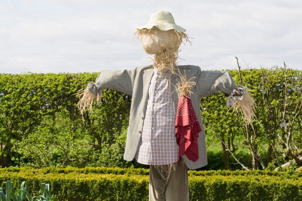 scarecrow that is full clothed to help show kids can use fully clothed scarecrows for scarecrow STEM activity

