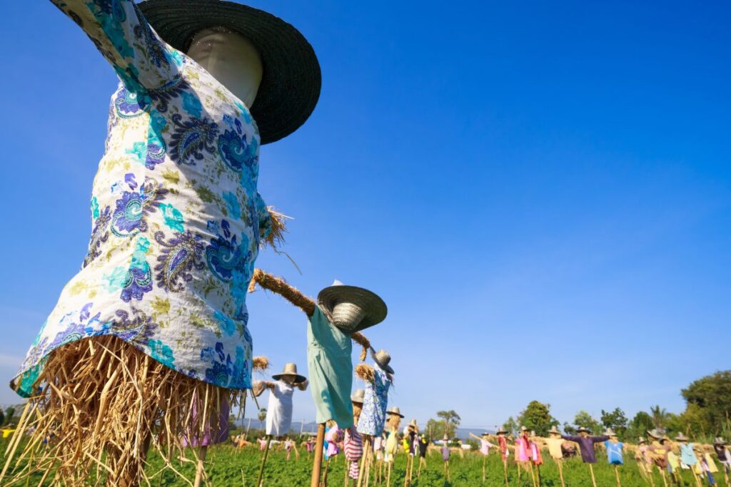 a line of scarecrows in a field as an example of how to get creative with building your own scarecrows