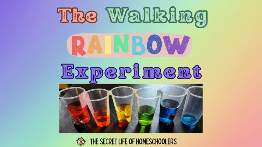 rainbow experiment for kids