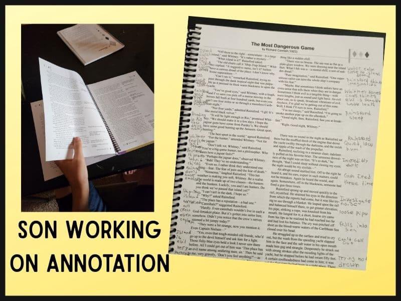annotation in literary analysis curriculum
